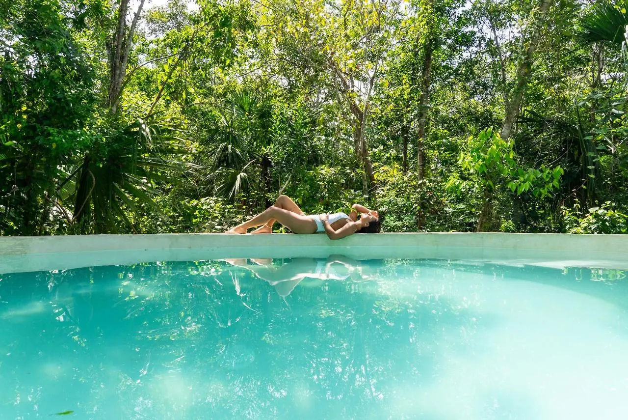 Glass House Puerto Morelos 0*,
