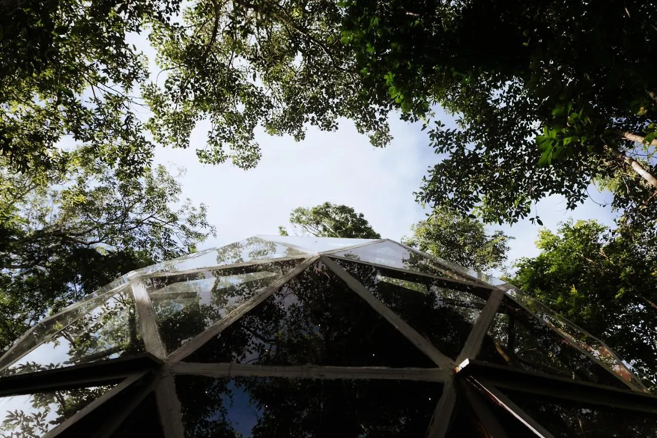 Glass House Puerto Morelos Campsite