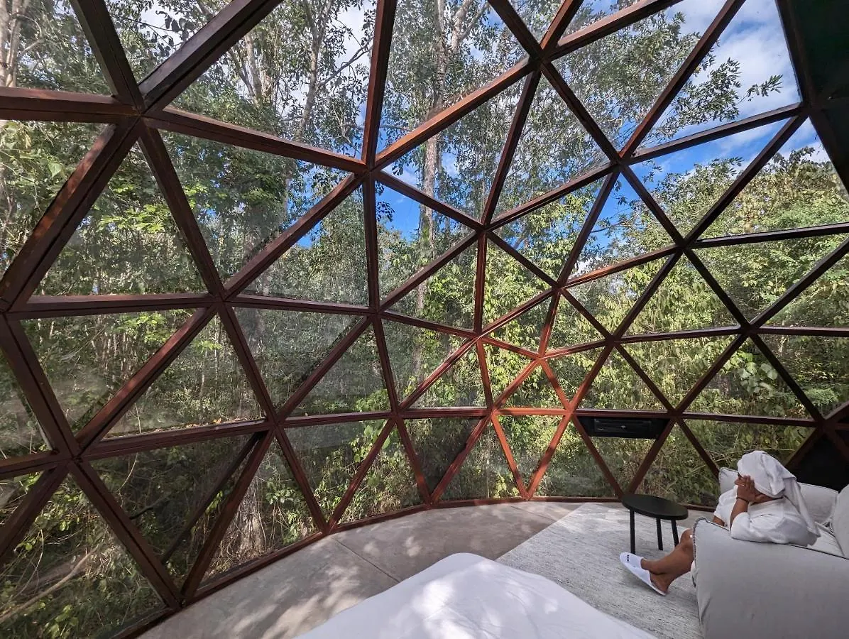 Glass House Puerto Morelos